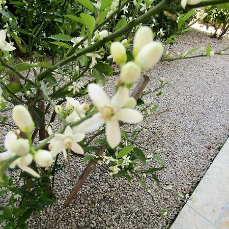 Apartman With A Parking Space - 14798 Vodice