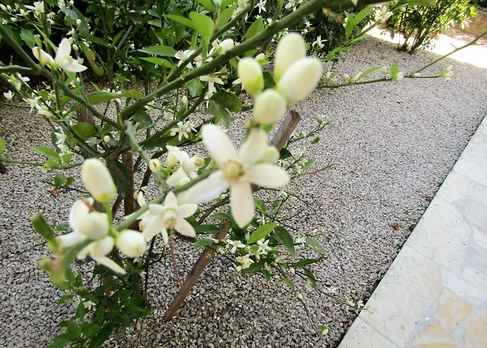 Apartament With A Parking Space - 14798 Vodice